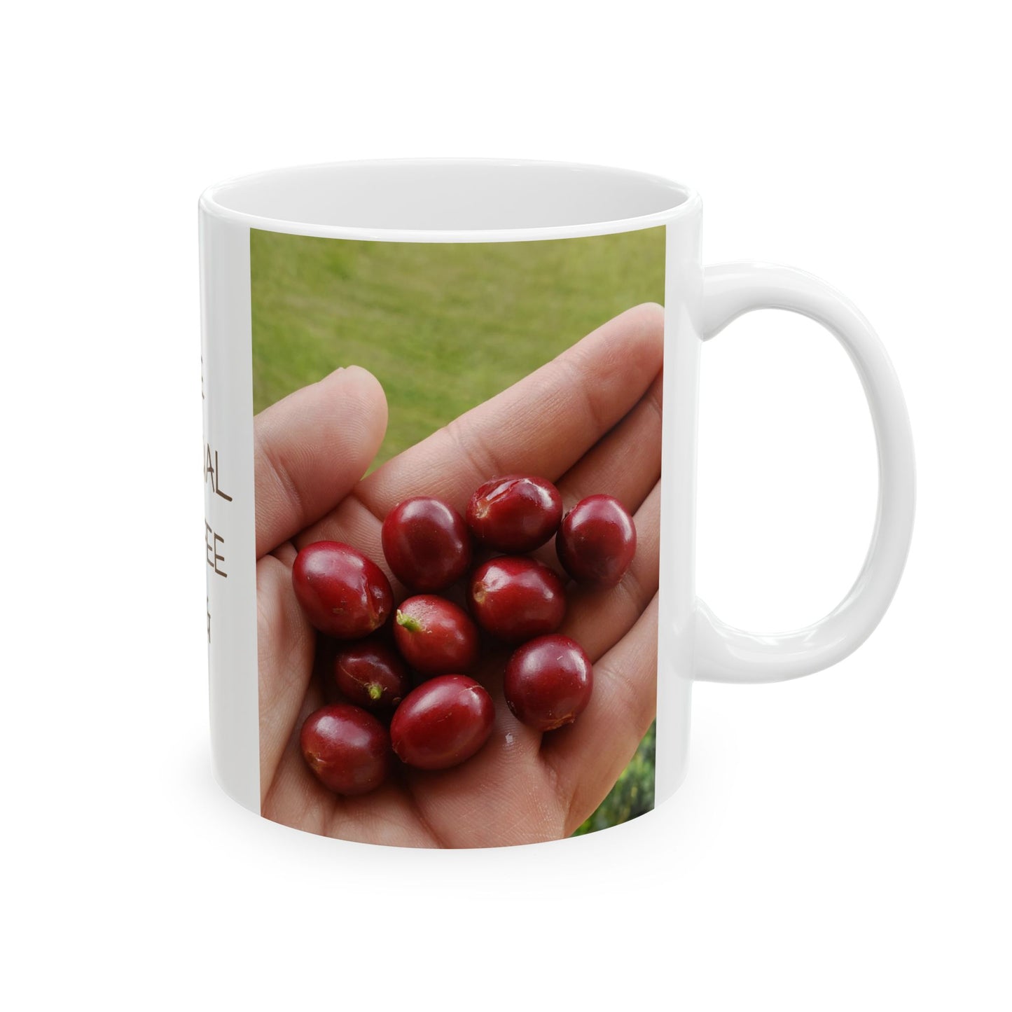 Ceramic Mug 11oz